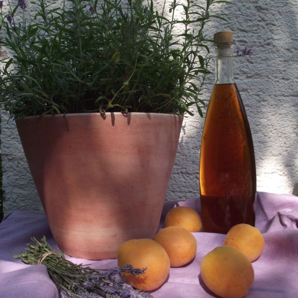 Aprikosen-Likör mit Lavendel