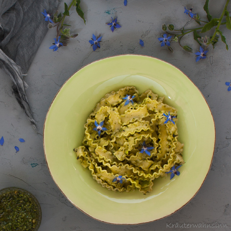 Borretsch-Pesto – Kräuterwahnsinn