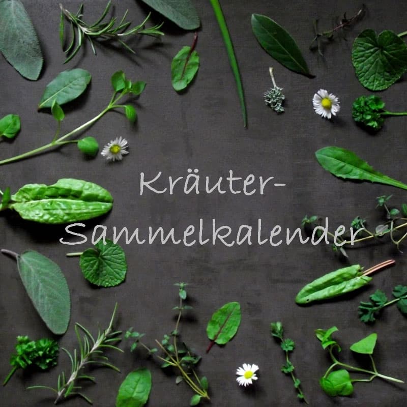 Kräuter-Sammelkalender