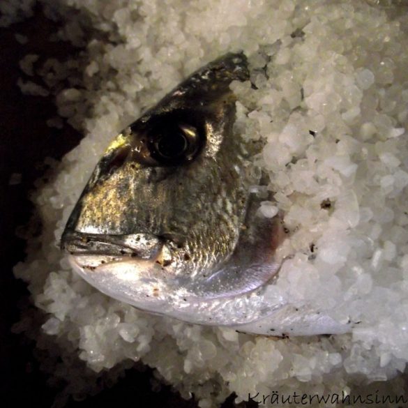 Fisch im Salzmantel