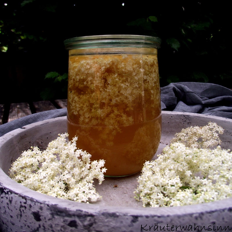Holunderblüten-Rezepte