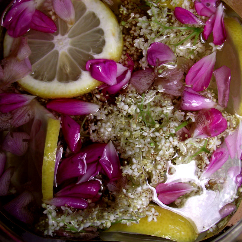 Hollerblüten-Rosen-Likör