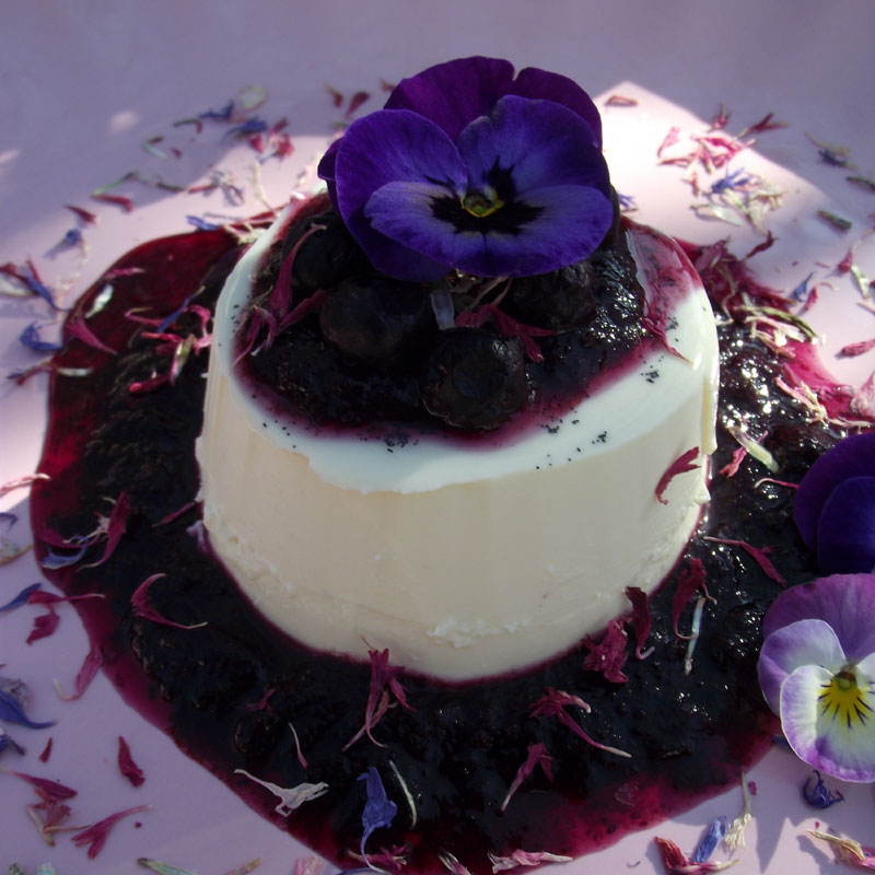 Panna Cotta Panna Cotta Grundrezept