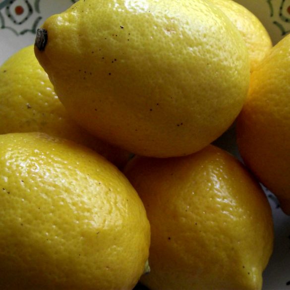 kandierte Zitronenzesten